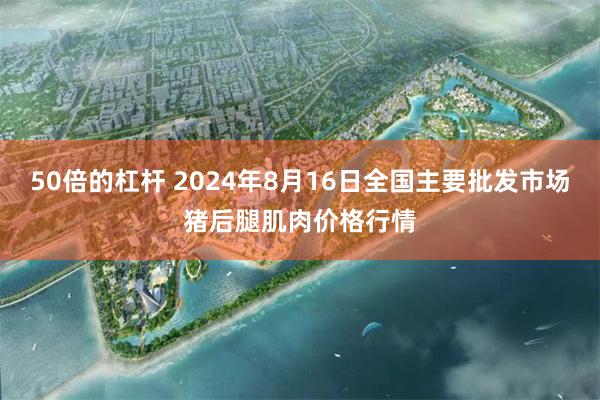 50倍的杠杆 2024年8月16日全国主要批发市场猪后腿肌肉价格行情