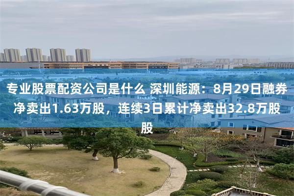 专业股票配资公司是什么 深圳能源：8月29日融券净卖出1.63万股，连续3日累计净卖出32.8万股