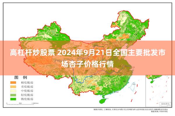 高杠杆炒股票 2024年9月21日全国主要批发市场杏子价格行情