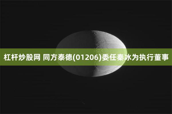 杠杆炒股网 同方泰德(01206)委任秦冰为执行董事