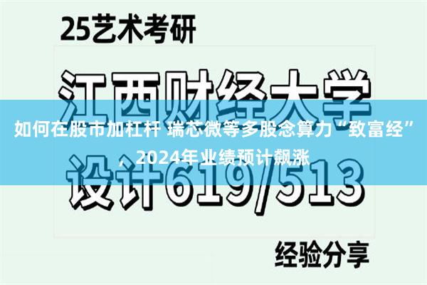 如何在股市加杠杆 瑞芯微等多股念算力“致富经”，2024年业绩预计飙涨