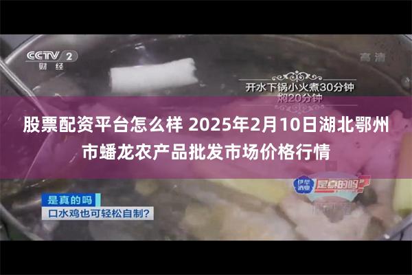 股票配资平台怎么样 2025年2月10日湖北鄂州市蟠龙农产品批发市场价格行情