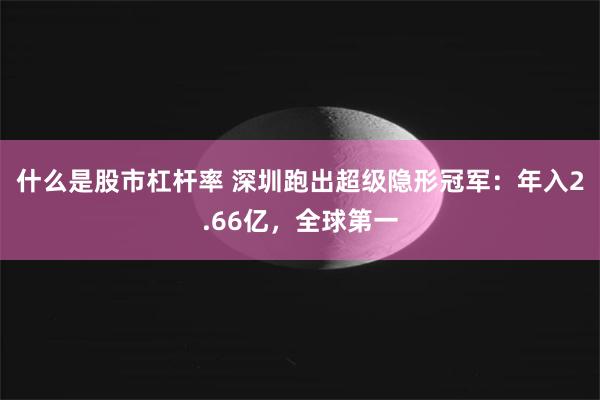 什么是股市杠杆率 深圳跑出超级隐形冠军：年入2.66亿，全球第一