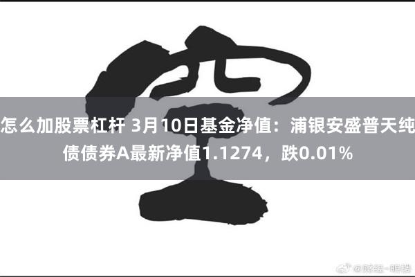 怎么加股票杠杆 3月10日基金净值：浦银安盛普天纯债债券A最新净值1.1274，跌0.01%