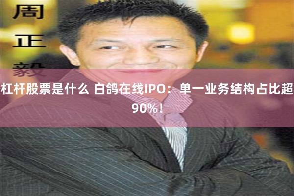 杠杆股票是什么 白鸽在线IPO：单一业务结构占比超90%！