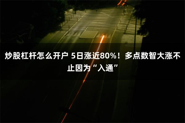 炒股杠杆怎么开户 5日涨近80%！多点数智大涨不止因为“入通”